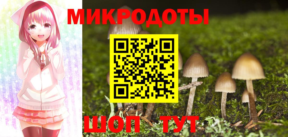Тобольск  Псилоцибиновые грибы Cubensis  Вход с VPN  Галлюциногенные грибы Psilocybe 
